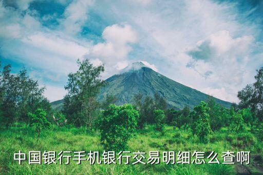 中國銀行手機(jī)銀行交易明細(xì)怎么查啊