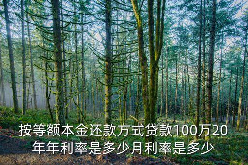 100萬(wàn)還20年 怎么算，100萬(wàn)人民幣存20年有多少利息