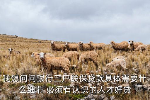 三人聯(lián)保貸款怎么貸，怎么在郵局辦理三戶聯(lián)保貸款手續(xù)