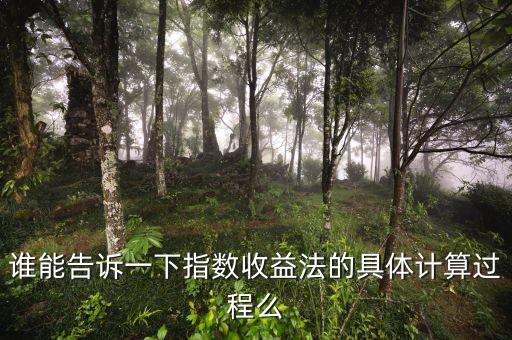 指數(shù) 收益 怎么算，基金的指數(shù)收益法 是怎么計(jì)算的