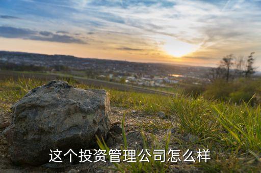 這個(gè)投資管理公司怎么樣
