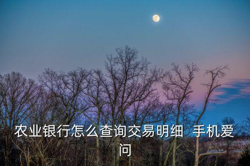 農(nóng)業(yè)銀行怎么查詢交易明細(xì)  手機(jī)愛問
