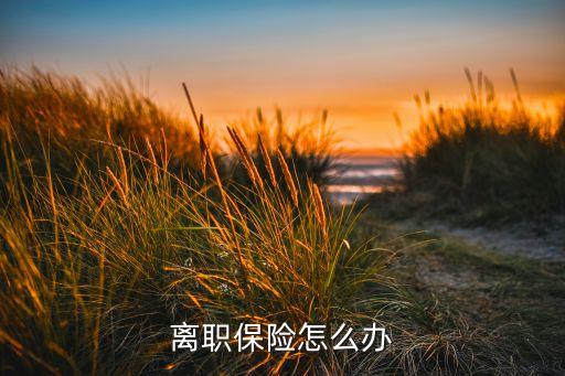離職保險怎么辦