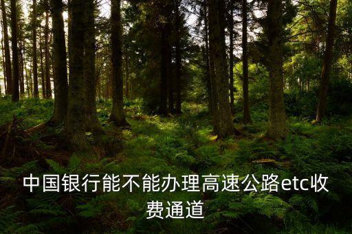 中行 廣東 etc怎么辦理?xiàng)l件，中國(guó)銀行辦etc卡需要什么手續(xù)