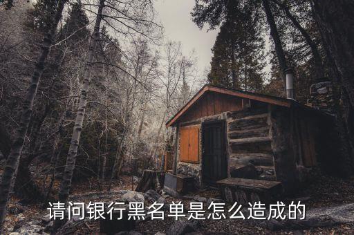 請(qǐng)問銀行黑名單是怎么造成的