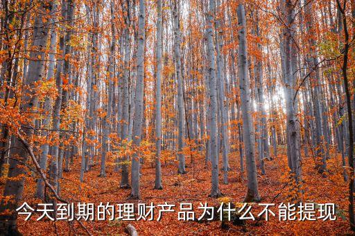 今天到期的理財(cái)產(chǎn)品為什么不能提現(xiàn)