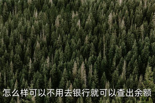 怎么樣可以不用去銀行就可以查出余額
