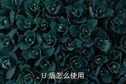 企業(yè)銀行 u 盾怎么使用，工商銀行 公司的U頓 怎么用