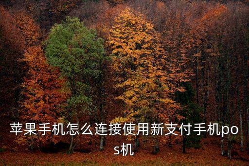 支付平臺(tái) 怎么綁pos，POS機(jī)怎么綁定
