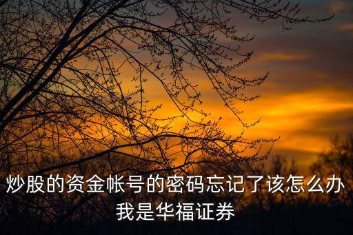 炒股的資金帳號(hào)的密碼忘記了該怎么辦我是華福證券