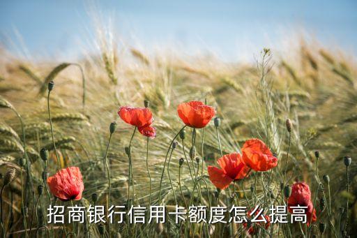 招商銀行信用卡額度怎么提高