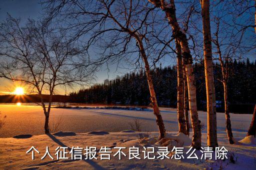個人征信報告不良記錄怎么清除