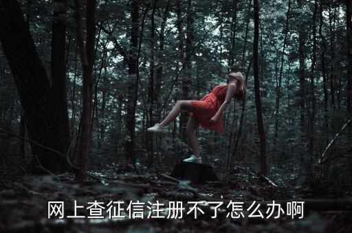 網上查征信注冊不了怎么辦啊
