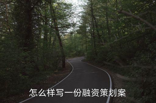 怎么樣寫一份融資策劃案