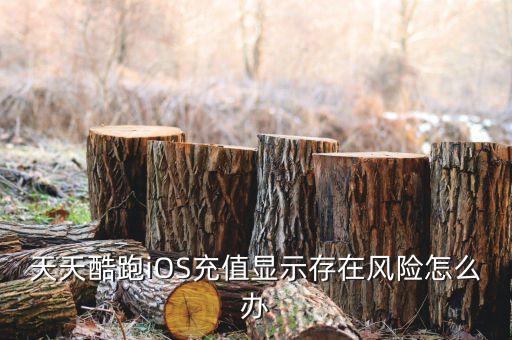 app充值高風(fēng)險怎么辦，剛買的蘋果端王者榮耀充值時顯示代充風(fēng)險怎么辦