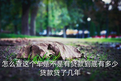 怎么查這個(gè)車是不是有貸款到底有多少貸款貸了幾年