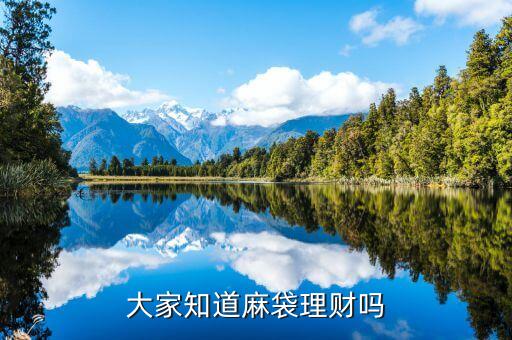 大家知道麻袋理財(cái)嗎