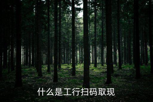 什么是工行掃碼取現(xiàn)