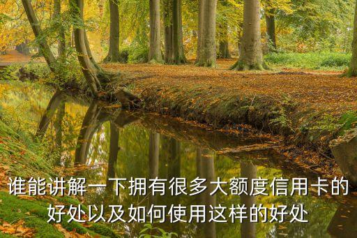 誰能講解一下?lián)碛泻芏啻箢~度信用卡的好處以及如何使用這樣的好處