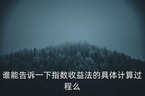 誰能告訴一下指數(shù)收益法的具體計(jì)算過程么