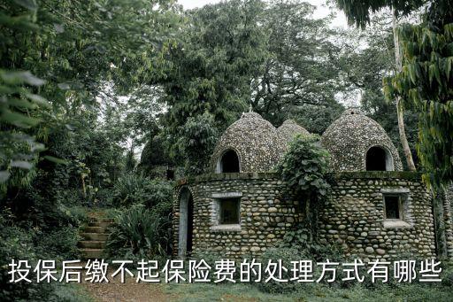 投保后繳不起保險(xiǎn)費(fèi)的處理方式有哪些