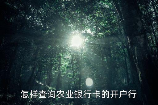 怎樣查詢農(nóng)業(yè)銀行卡的開戶行