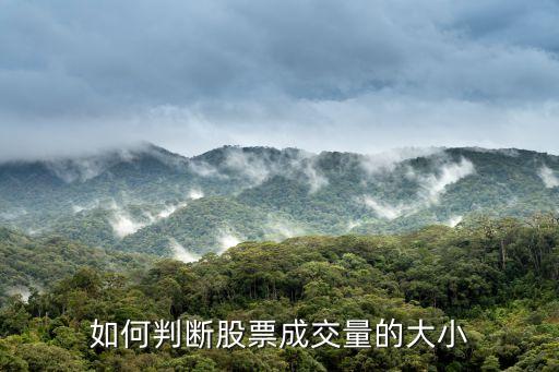 如何判斷股票成交量的大小