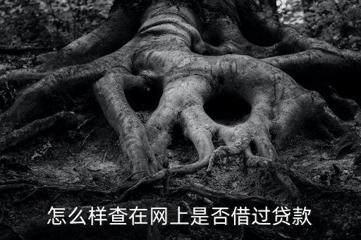 怎么樣查在網(wǎng)上是否借過貸款