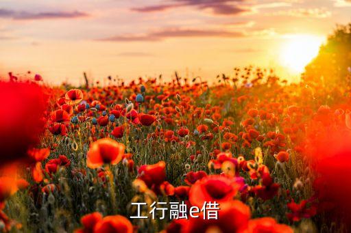 工行融e借