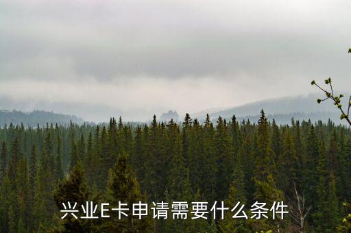 興業(yè)銀行e卡怎么辦理，興業(yè)e 卡