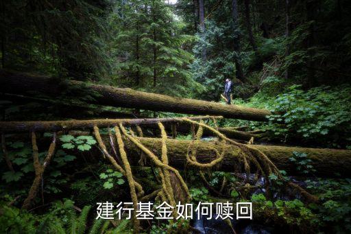 建行基金如何贖回