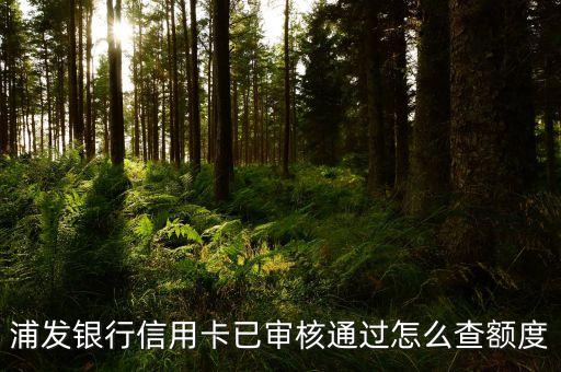浦發(fā)銀行信用卡已審核通過(guò)怎么查額度