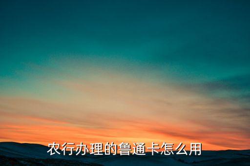 魯通卡etc怎么樣，有辦ETC的嗎