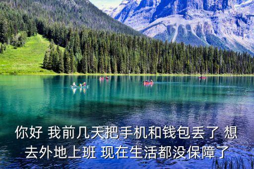 你好 我前幾天把手機和錢包丟了 想去外地上班 現(xiàn)在生活都沒保障了