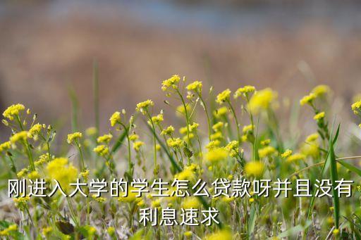 剛進入大學的學生怎么貸款呀并且沒有利息速求