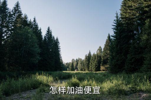 怎么樣才能加油有優(yōu)惠，怎么做到汽車加油最優(yōu)惠