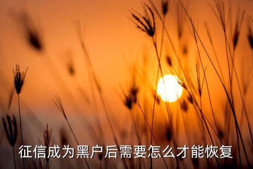 征信成為黑戶后需要怎么才能恢復(fù)