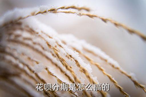 螞蟻花唄怎么實(shí)行分期，請(qǐng)問(wèn)支付寶 花唄如何分期還款