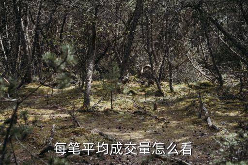 每筆平均成交量怎么看