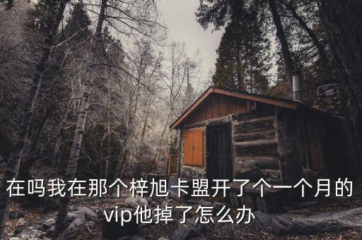 在嗎我在那個梓旭卡盟開了個一個月的vip他掉了怎么辦