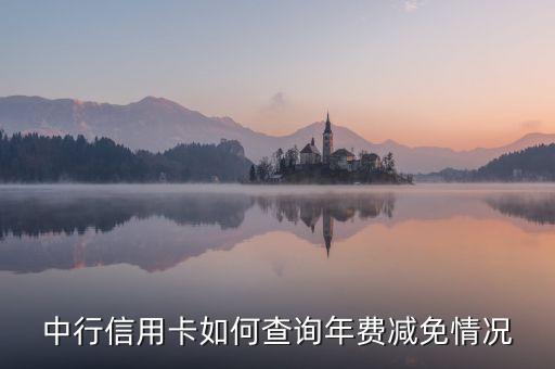 中行信用卡如何查詢年費(fèi)減免情況
