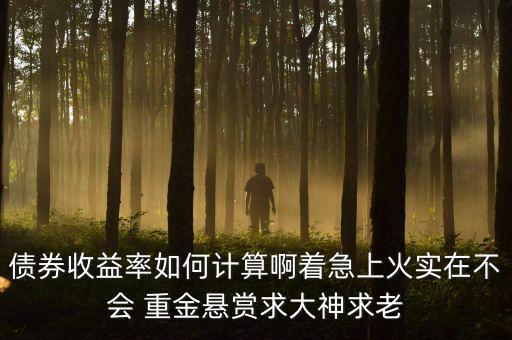 債券收益率如何計(jì)算啊著急上火實(shí)在不會(huì) 重金懸賞求大神求老
