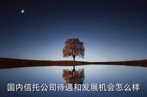 國內(nèi)信托公司待遇和發(fā)展機(jī)會(huì)怎么樣