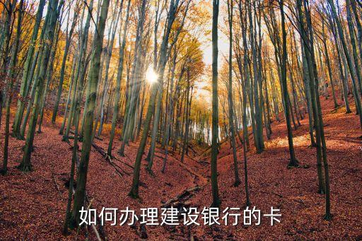 如何辦理建設銀行的卡