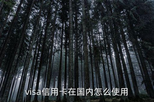 visa信用卡在國內(nèi)怎么使用