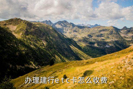 辦理建行e t c卡怎么收費