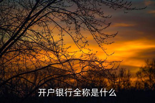 開戶銀行全稱是什么