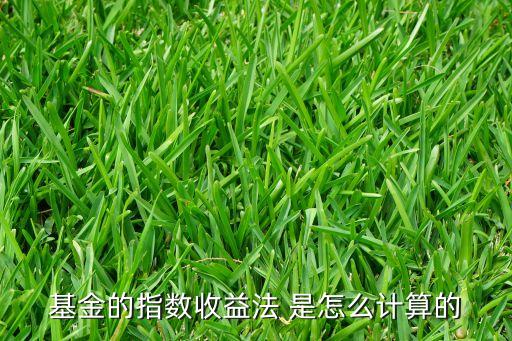 基金的指數(shù)收益法 是怎么計(jì)算的