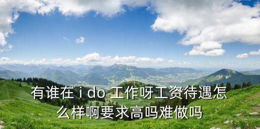 有誰在 i do 工作呀工資待遇怎么樣啊要求高嗎難做嗎