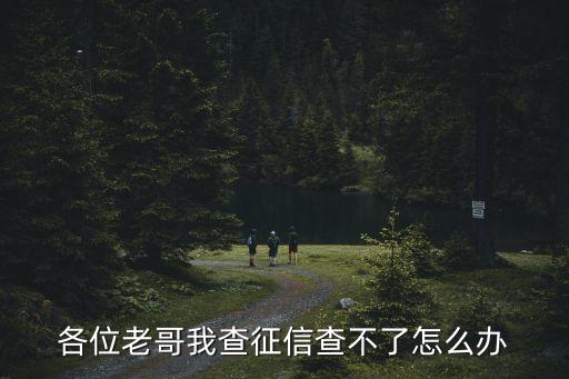征信查不到怎么辦，為什么我的征信在征信中心查不了
